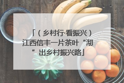 （乡村行·看振兴）江西信丰一片茶叶“沏”出乡村振兴路