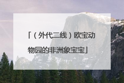 （外代二线）欧宝动物园的非洲象宝宝