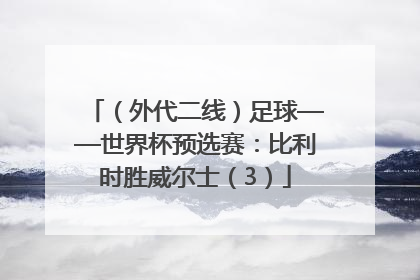 （外代二线）足球——世界杯预选赛：比利时胜威尔士（3）