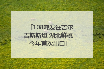 108吨发往吉尔吉斯斯坦 湖北鲜桃今年首次出口