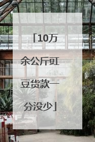 10万余公斤豇豆货款一分没少