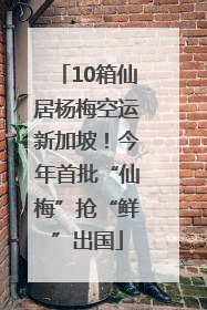10箱仙居杨梅空运新加坡！今年首批“仙梅”抢“鲜”出国