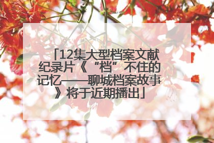 12集大型档案文献纪录片《“档”不住的记忆——聊城档案故事》将于近期播出