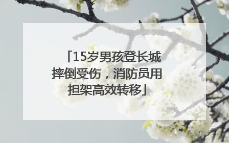 15岁男孩登长城摔倒受伤，消防员用担架高效转移