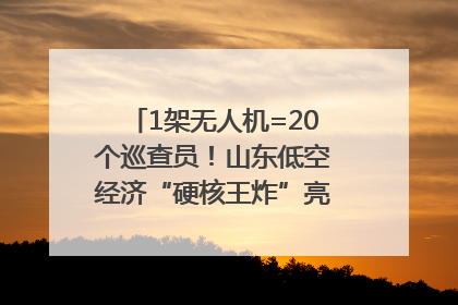 1架无人机=20个巡查员！山东低空经济“硬核王炸”亮相青岛，下一个万亿赛道藏在这里