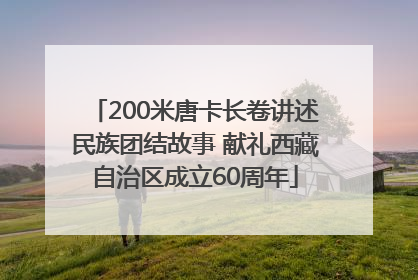 200米唐卡长卷讲述民族团结故事 献礼西藏自治区成立60周年