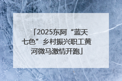 2025东阿“蓝天七色”乡村振兴职工黄河微马激情开跑