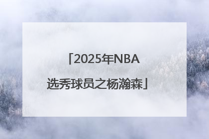 2025年NBA选秀球员之杨瀚森