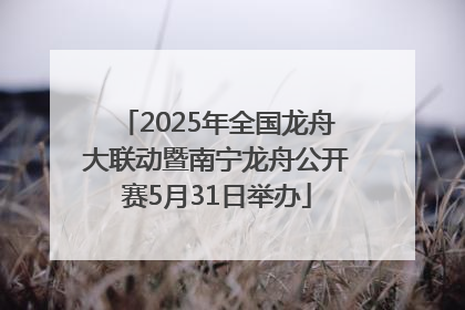 2025年全国龙舟大联动暨南宁龙舟公开赛5月31日举办