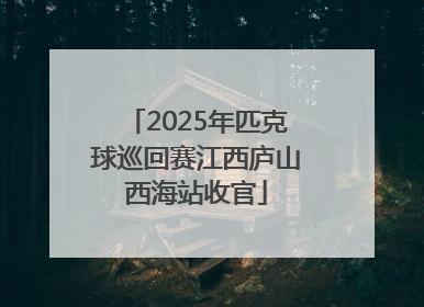 2025年匹克球巡回赛江西庐山西海站收官