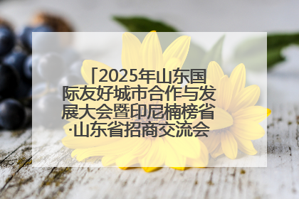 2025年山东国际友好城市合作与发展大会暨印尼楠榜省·山东省招商交流会在济南槐荫举行