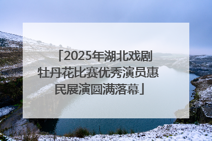 2025年湖北戏剧牡丹花比赛优秀演员惠民展演圆满落幕