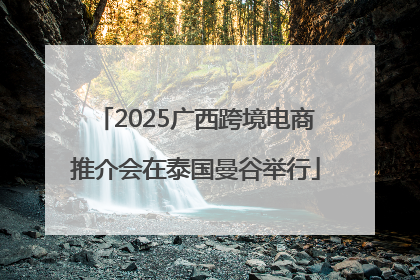 2025广西跨境电商推介会在泰国曼谷举行