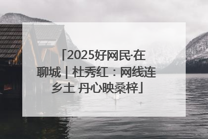 2025好网民·在聊城｜杜秀红：网线连乡土 丹心映桑梓