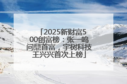2025新财富500创富榜：张一鸣问鼎首富，宇树科技王兴兴首次上榜
