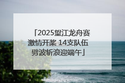 2025望江龙舟赛激情开桨 14支队伍劈波斩浪迎端午