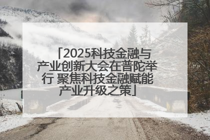 2025科技金融与产业创新大会在普陀举行 聚焦科技金融赋能产业升级之策