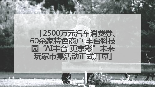2500万元汽车消费券、60余家特色商户 丰台科技园“AI丰台 更京彩”未来玩家市集活动正式开幕