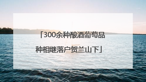 300余种酿酒葡萄品种相继落户贺兰山下