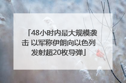 48小时内最大规模袭击 以军称伊朗向以色列发射超20枚导弹
