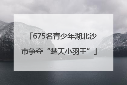 675名青少年湖北沙市争夺“楚天小羽王”