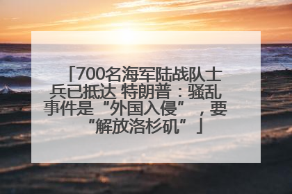 700名海军陆战队士兵已抵达 特朗普：骚乱事件是“外国入侵”，要“解放洛杉矶”
