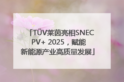 TÜV莱茵亮相SNEC PV+ 2025，赋能新能源产业高质量发展